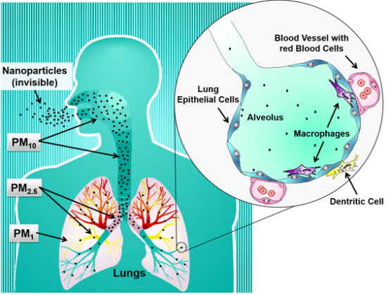 is-laser-printer-harmful-for-health