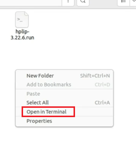 open the terminal